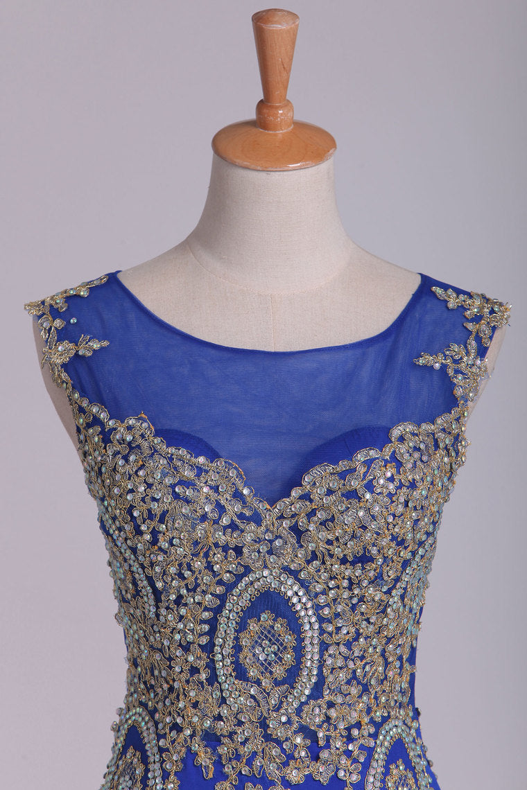 2022 Dark Royal Blue Prom Dresses Scoop Mermaid Spandex With Applique Sweep/Brush Train