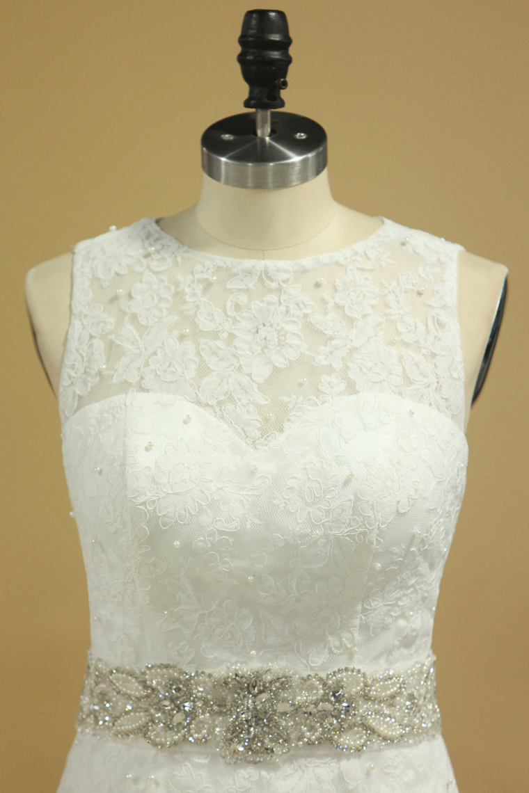 2022 Plus Size Scoop Wedding Dresses Chic Mermaid/Trumpet Chapel Train