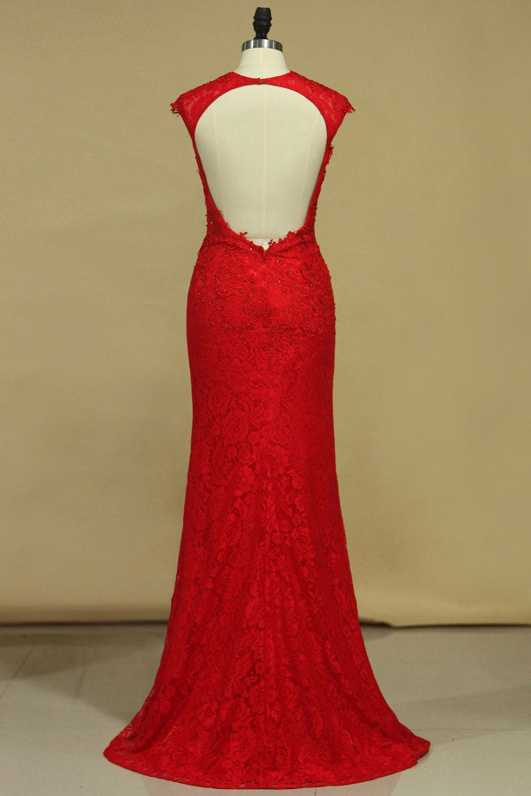 2022 Prom Dresses Sheath Scoop Lace With Applique And Beads Sweep Train