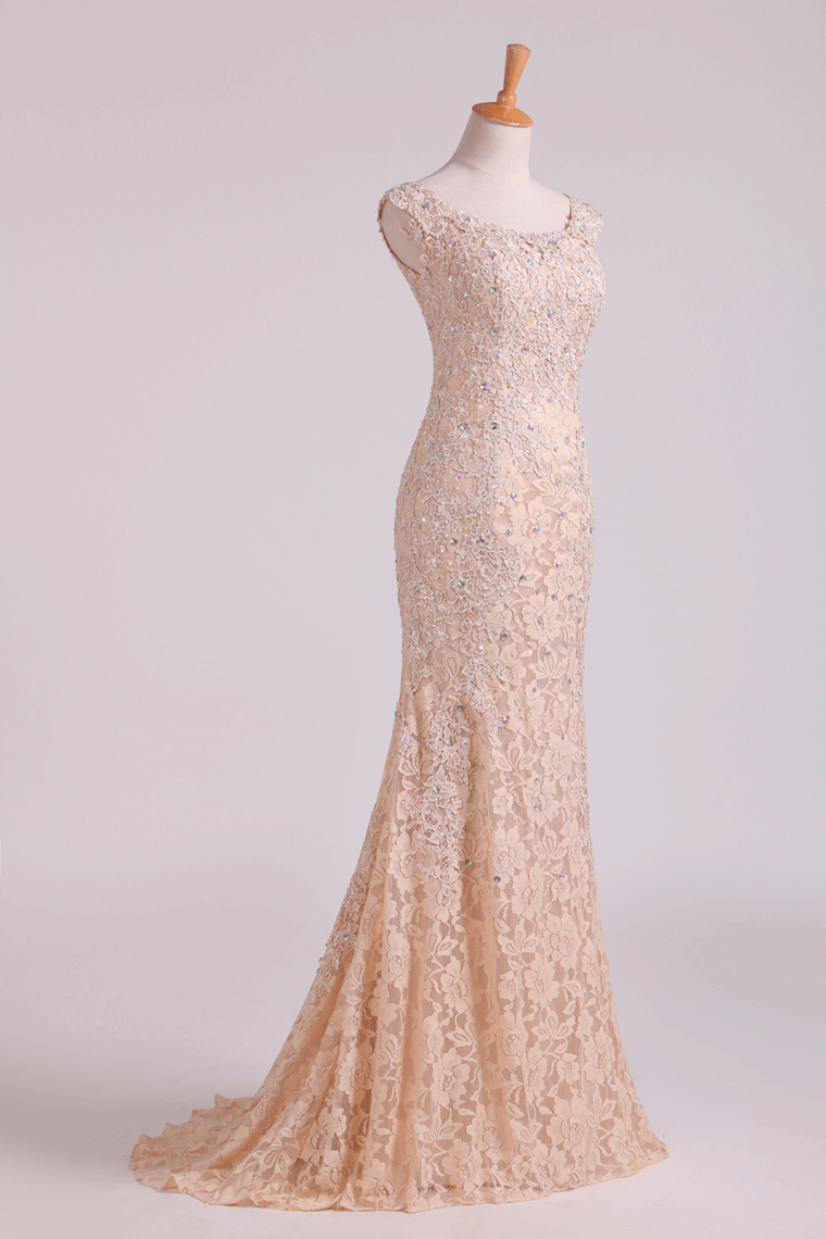 2022 New Arrival Off The Shoulder Evening Dresses Lace With Applique & Beads