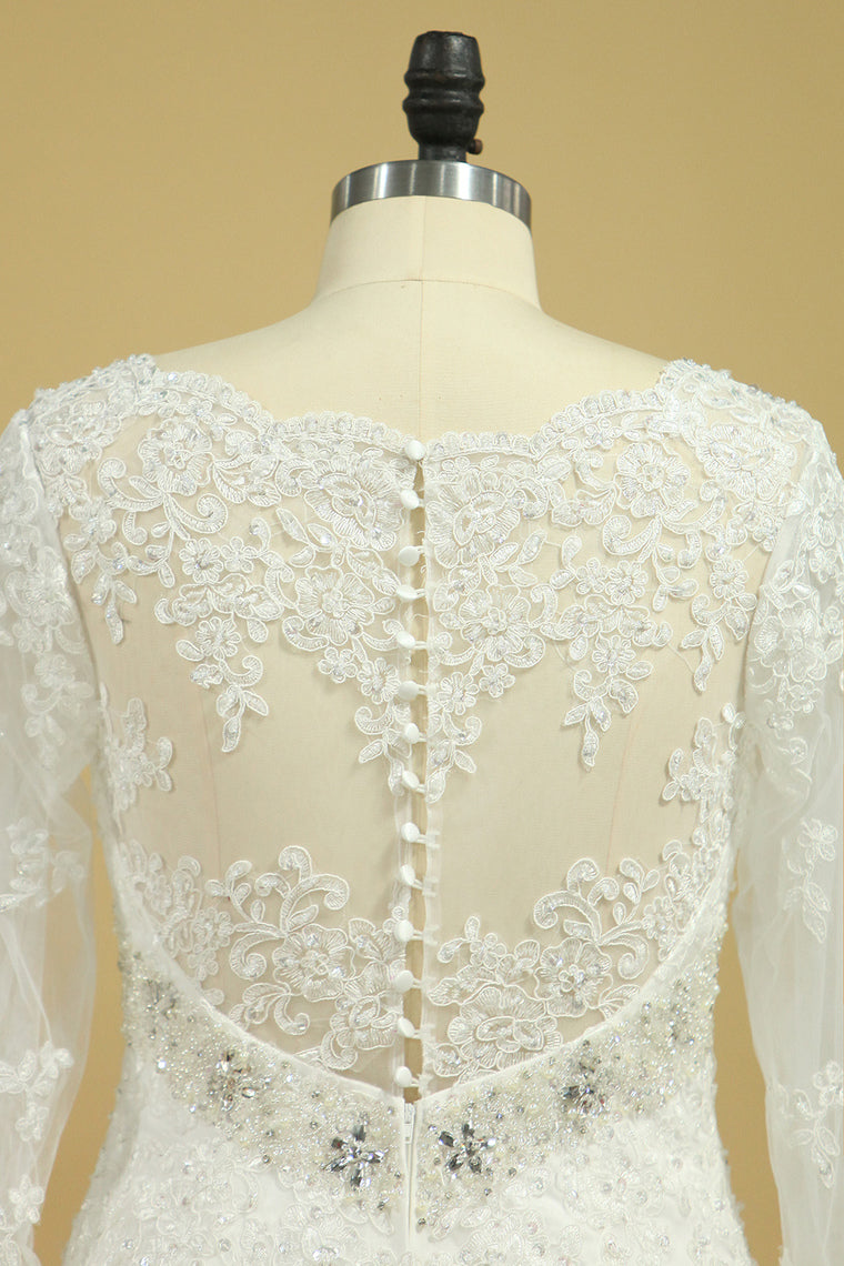 2022 Plus Size V-Neck Long Sleeves Wedding Dresses With Applique Tulle