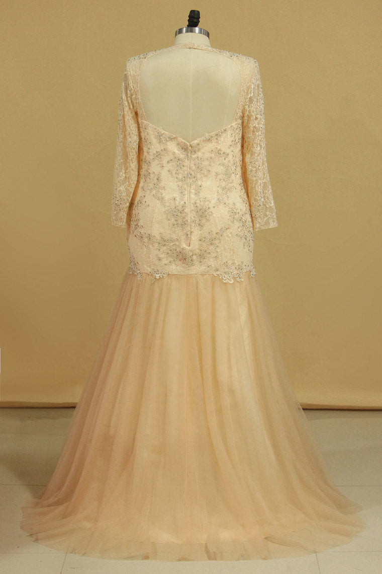 2022 Prom Dresses V Neck Long Sleeves Sweep Train Tulle & Lace