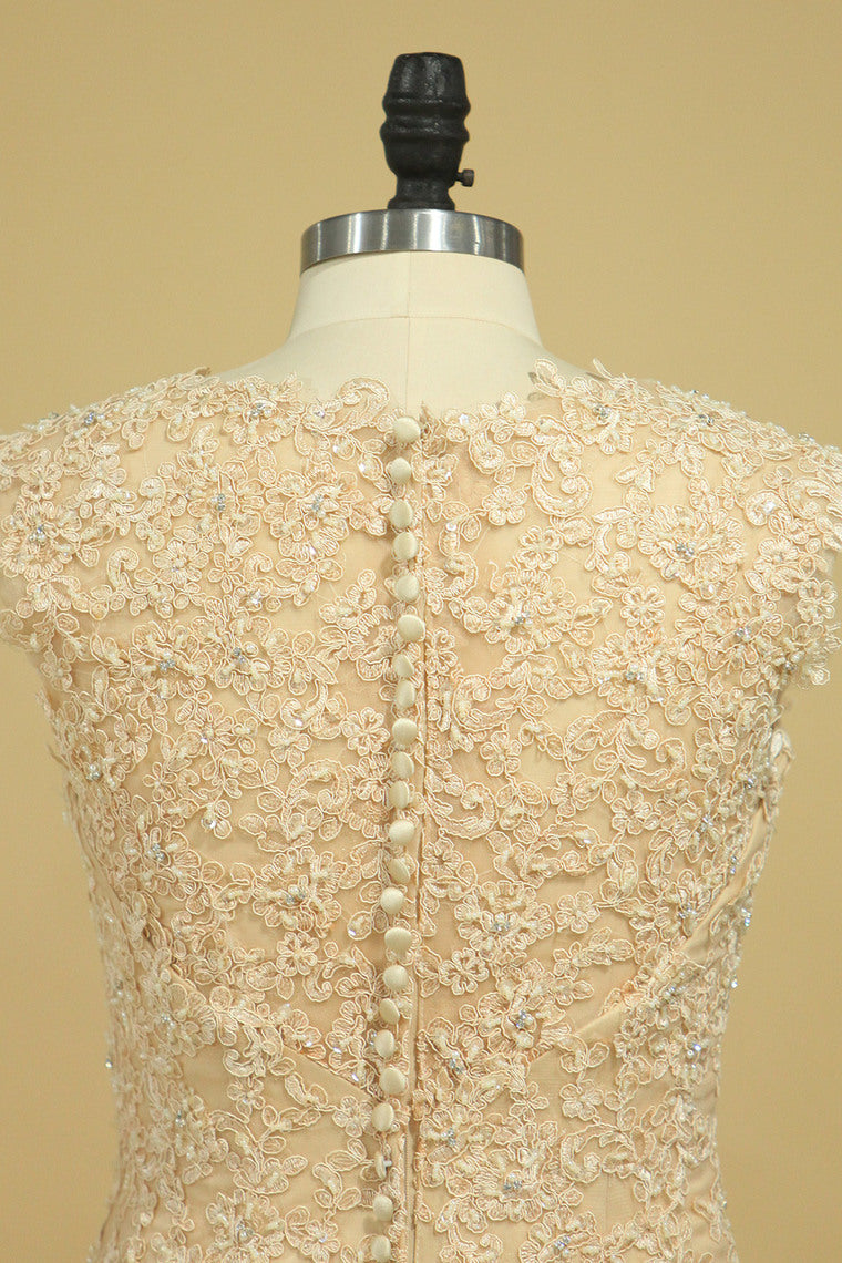 2022 Champagne V-Neck Wedding Dresses A Line Court Train With Applique