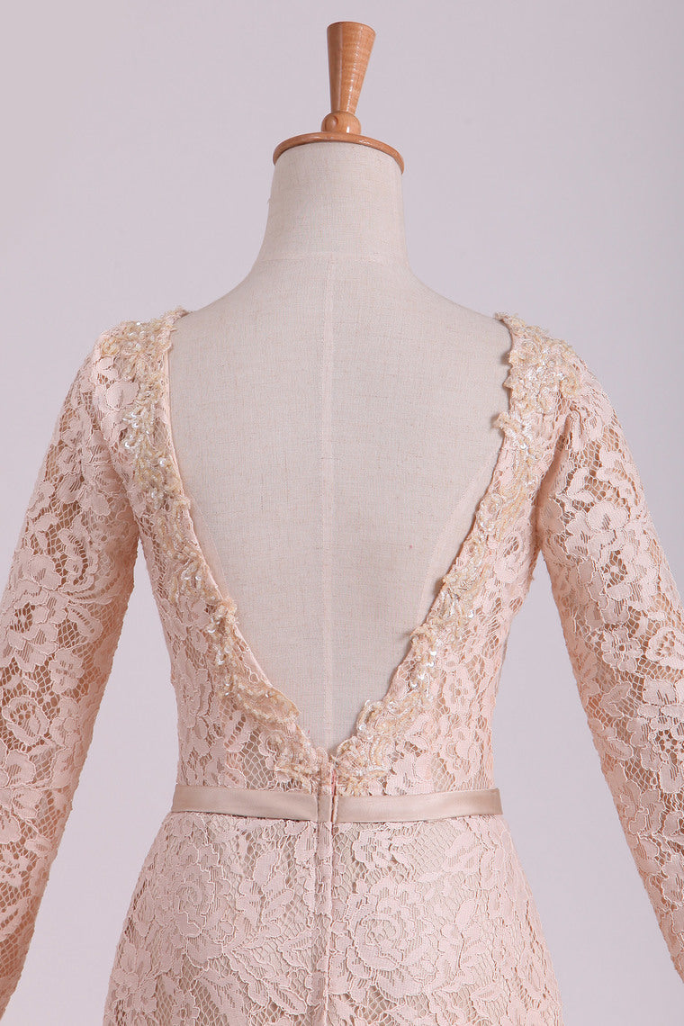 2022 Long Sleeves Wedding Dresses Scoop Lace With Sash Sweep Train Champagne
