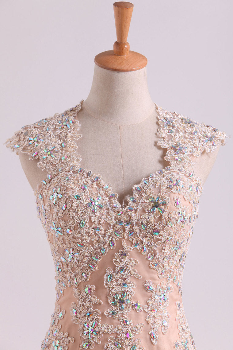 2022 Classic Prom Dresses V Neck Mermaid/Trumpet Floor Length Tulle Champagne With Applique & Beads
