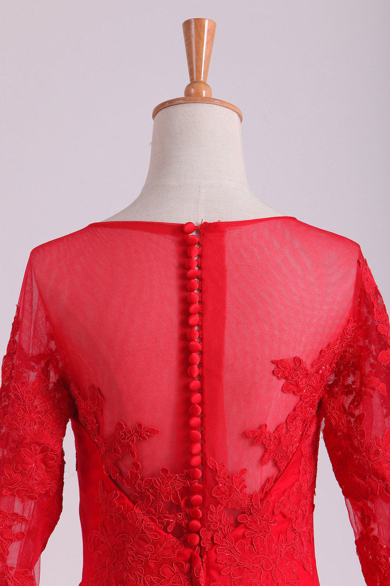 2022 Mother Of The Bride Dresses Scoop 3/4 Length Sleeves Tulle With Applique