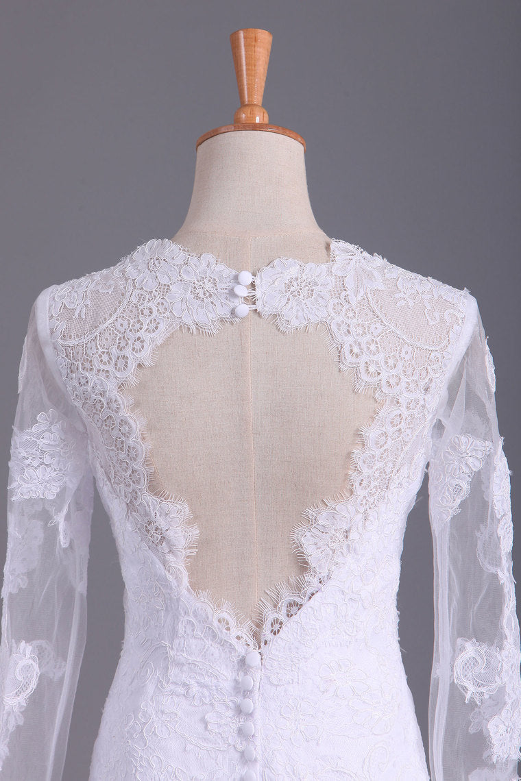 2022 Long Sleeves V Neck  Open Back Wedding Dresses Tulle With Applique Sheath