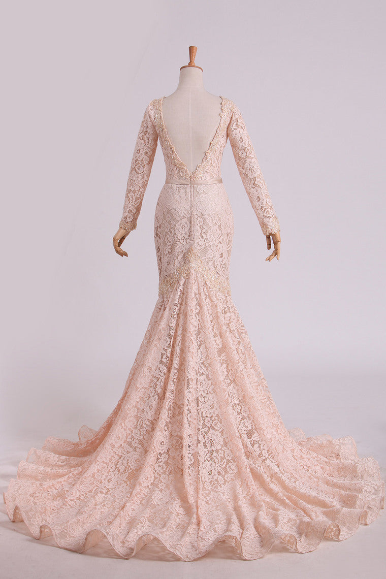 2022 Long Sleeves Wedding Dresses Scoop Lace With Sash Sweep Train Champagne
