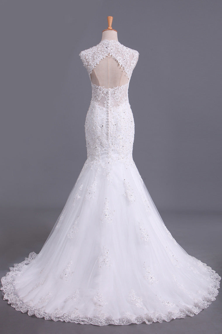 2022 Hot Mermaid/Trumpet Wedding Dresses With Applique & Beads Open Back