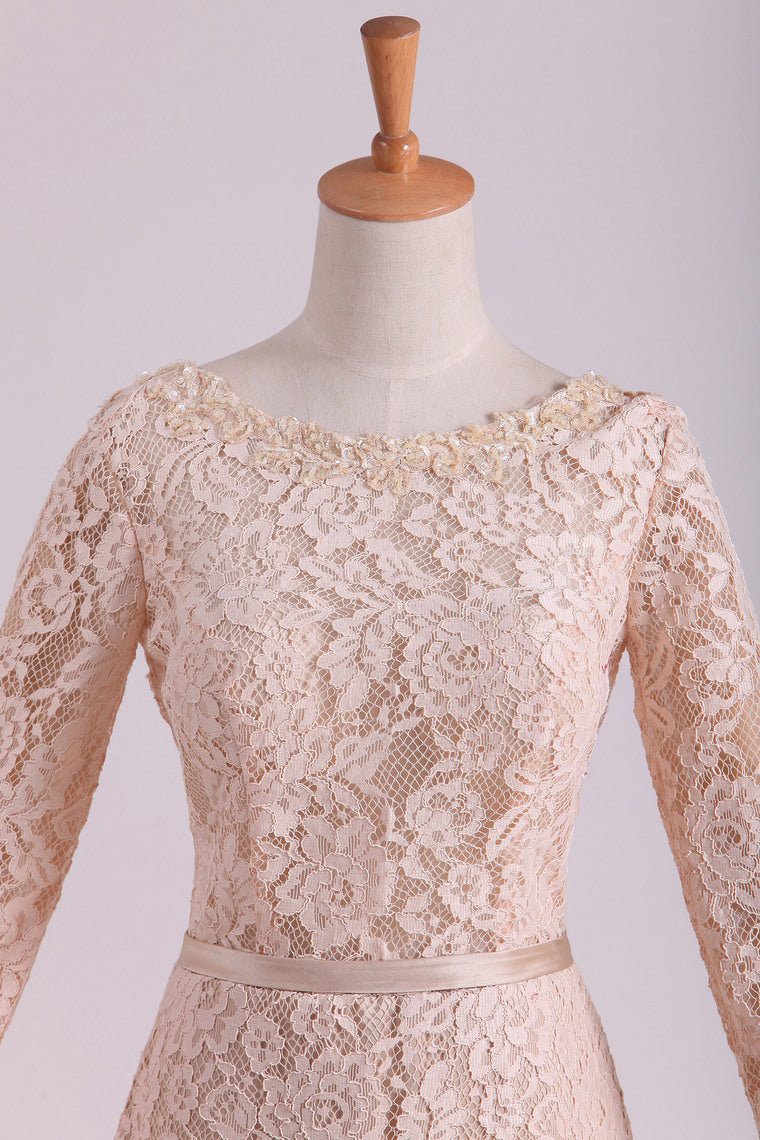 2022 Long Sleeves Wedding Dresses Scoop Lace With Sash Sweep Train Champagne