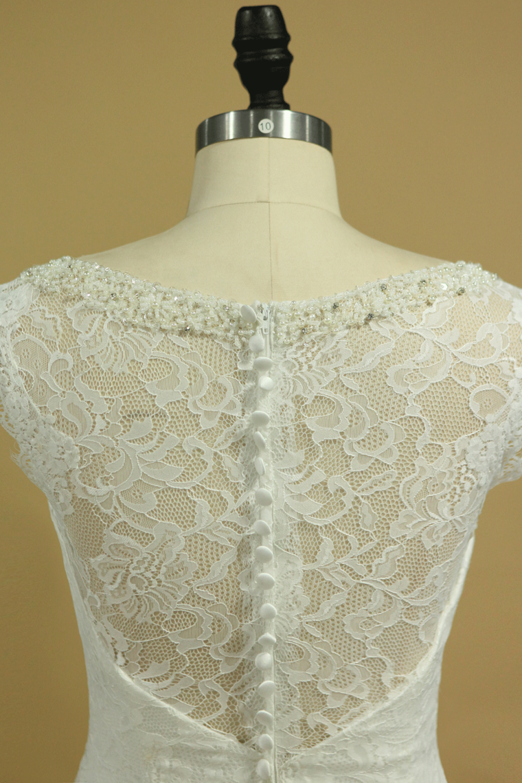 2022 Lace Wedding Dresses Sheath V-Neck Court Train Beaded Neckline