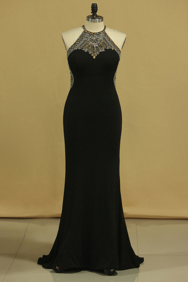 Prom Dresses