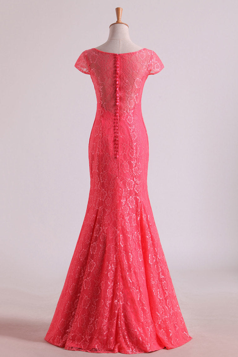 2022 Bridesmaid Dresses Scoop Column Floor Length Lace