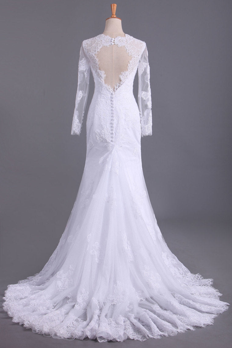 2022 Long Sleeves V Neck  Open Back Wedding Dresses Tulle With Applique Sheath